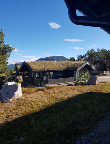 Bilde av hytte i Vrådal - sommer