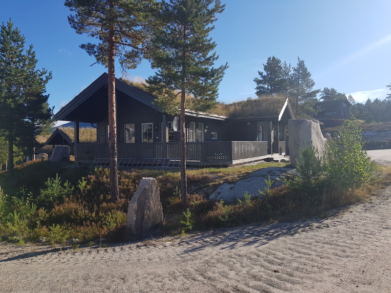 Hytte i Vrådal - sommer