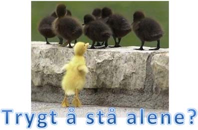 Trygt å stå alene?